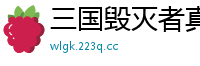三国毁灭者真狼魂